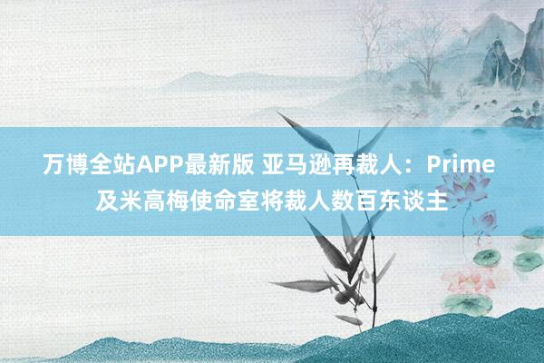 万博全站APP最新版 亚马逊再裁人：Prime 及米高梅使命室将裁人数百东谈主