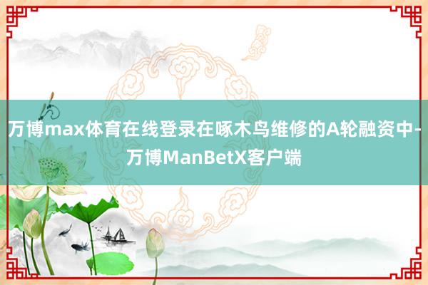 万博max体育在线登录在啄木鸟维修的A轮融资中-万博ManBetX客户端