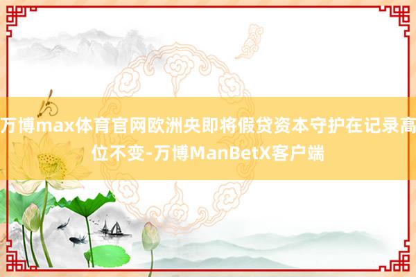 万博max体育官网欧洲央即将假贷资本守护在记录高位不变-万博ManBetX客户端