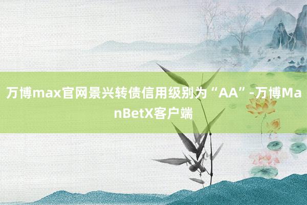 万博max官网景兴转债信用级别为“AA”-万博ManBetX客户端