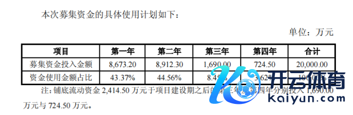 2018年*ST威帝2亿元可转债募投名堂资金实施谋划，图源：公司公告