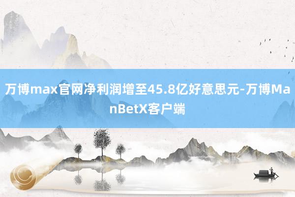 万博max官网净利润增至45.8亿好意思元-万博ManBetX客户端