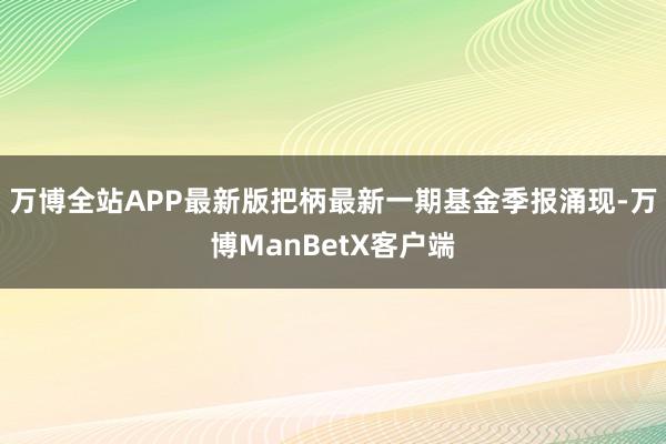 万博全站APP最新版把柄最新一期基金季报涌现-万博ManBetX客户端